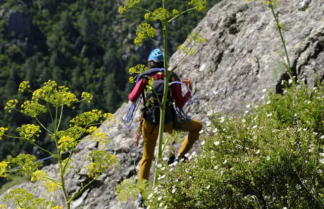 guide via cordate restonica tafoni corse verticale